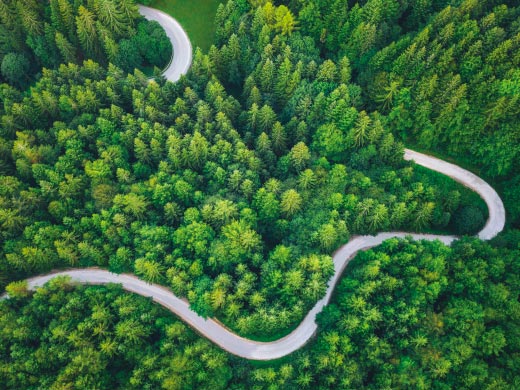 Curvy road through wooded area